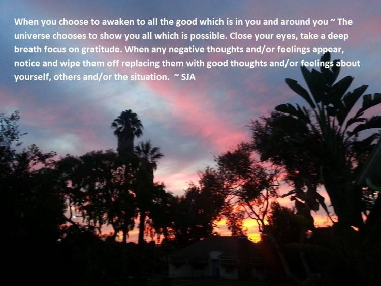 Pause, Breathe and Focus on the Good